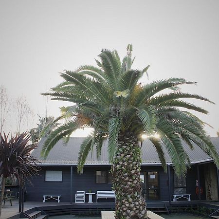 Hugo & Carters Backpackers & Motel Tauranga Exteriér fotografie The pool at the hotel