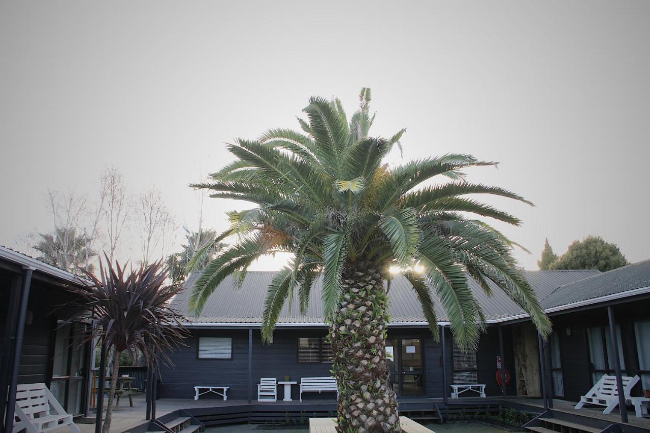 Hugo & Carters Backpackers & Motel Tauranga Exteriér fotografie The pool at the hotel